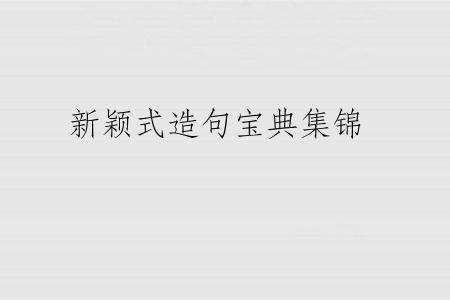 新颖式造句宝典集锦