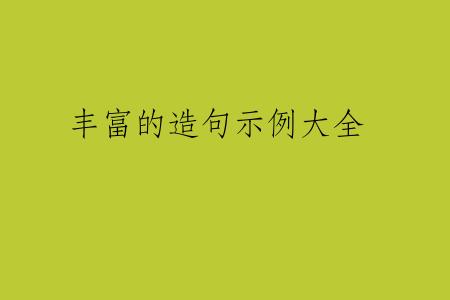 丰富的造句示例大全