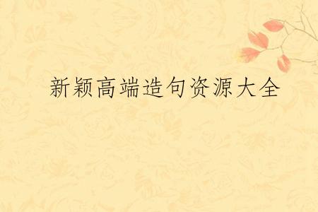 新颖高端造句资源大全