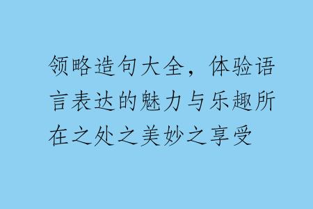 领略造句大全，体验语言表达的魅力与乐趣所在之处之美妙之享受