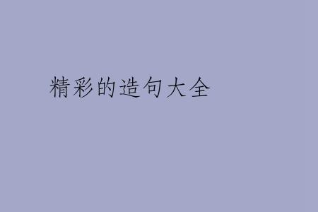 精彩的造句大全