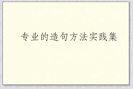 专业的造句方法实践集