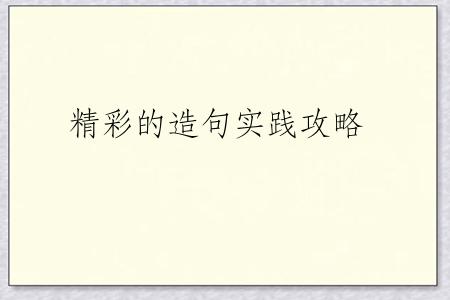 精彩的造句实践攻略