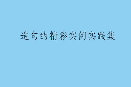 造句的精彩实例实践集