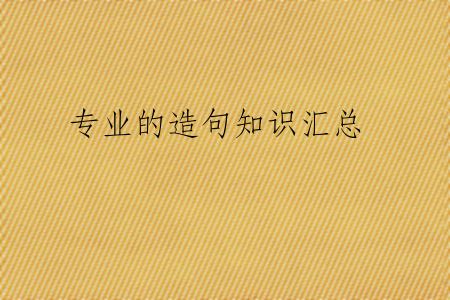 专业的造句知识汇总