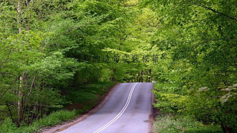 精彩的造句实践秘籍