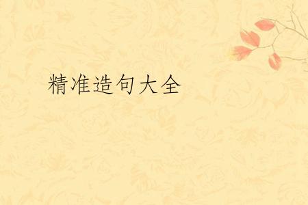 精准造句大全