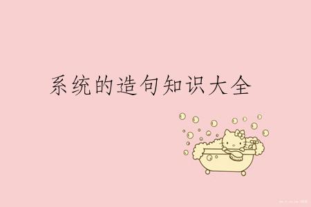 系统的造句知识大全