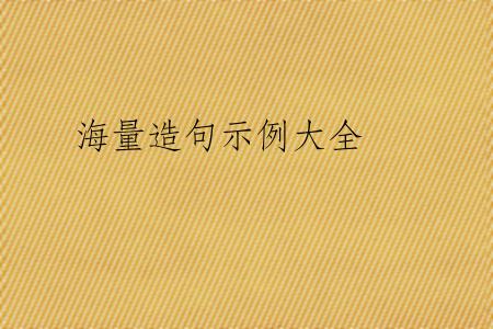 海量造句示例大全