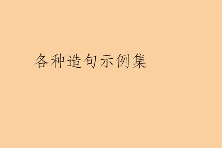 各种造句示例集