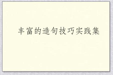 丰富的造句技巧实践集