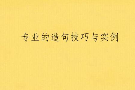 专业的造句技巧与实例