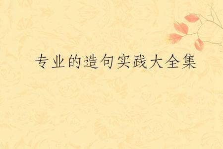 专业的造句实践大全集
