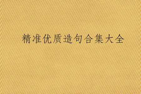 精准优质造句合集大全
