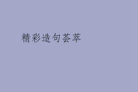 精彩造句荟萃
