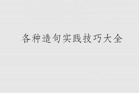 各种造句实践技巧大全