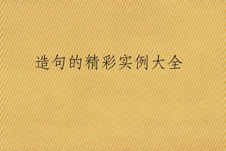 造句的精彩实例大全