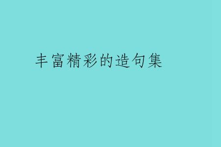 丰富精彩的造句集