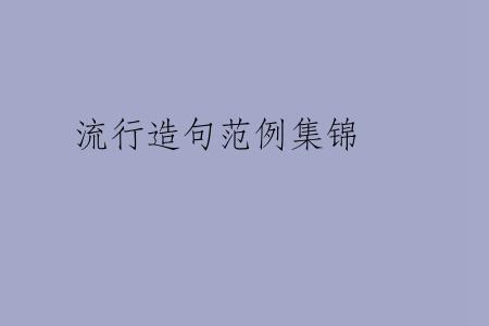 流行造句范例集锦