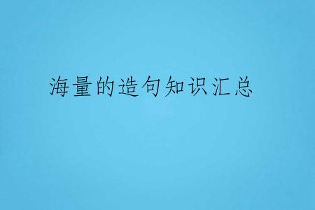 海量的造句知识汇总