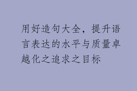 用好造句大全，提升语言表达的水平与质量卓越化之追求之目标