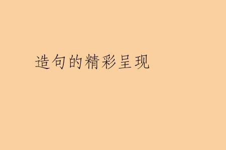 造句的精彩呈现