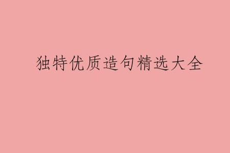 独特优质造句精选大全