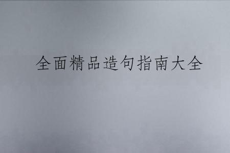 全面精品造句指南大全