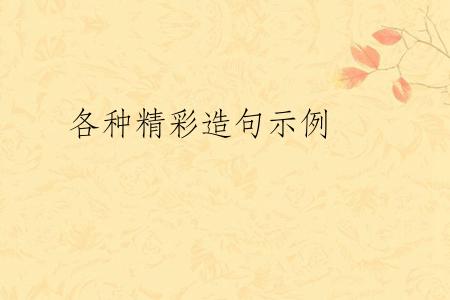 各种精彩造句示例