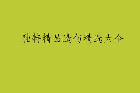 独特精品造句精选大全