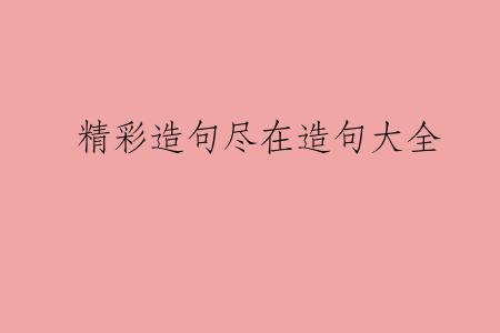 精彩造句尽在造句大全