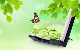 经典句子：心坎上的每一次触动，都是经典的魅力