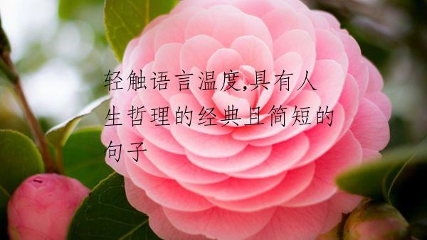 轻触语言温度,具有人生哲理的经典且简短的句子