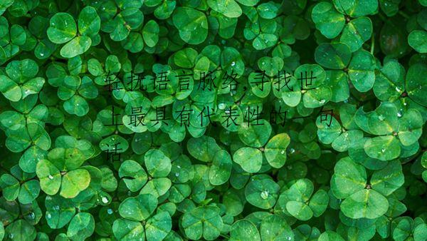 轻抚语言脉络,寻找世上最具有代表性的一句话