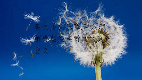 奏响美文乐章,深入理解那些经典瞬间的真正含义
