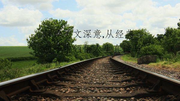 解读美文深意,从经典句子中领悟人生真谛与智慧