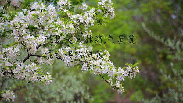 轻抚美文脉络,气质优雅经典的短句