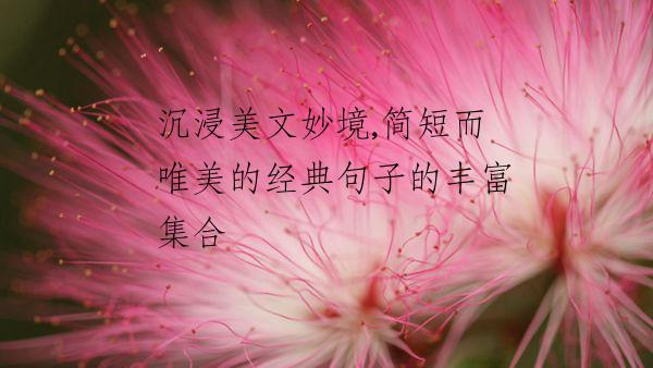 沉浸美文妙境,简短而唯美的经典句子的丰富集合