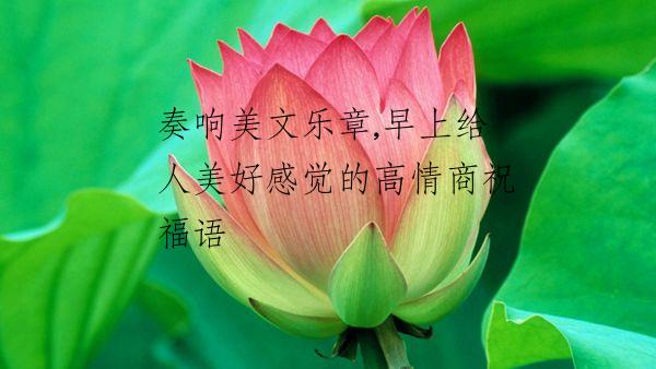 奏响美文乐章,早上给人美好感觉的高情商祝福语