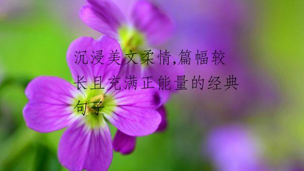 沉浸美文柔情,篇幅较长且充满正能量的经典句子
