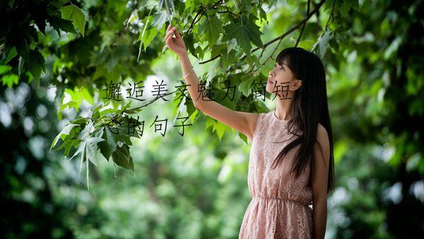 邂逅美文魅力,简短入心的句子