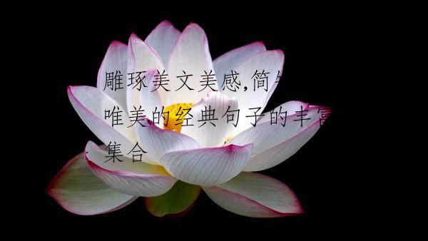 雕琢美文美感,简短而唯美的经典句子的丰富集合