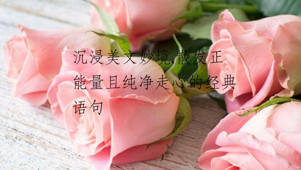 沉浸美文妙境,散发正能量且纯净走心的经典语句