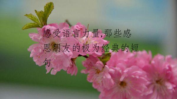 感受语言力量,那些感恩朋友的极为经典的短句