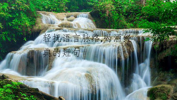 轻抚语言脉络,喝酒经典的短句