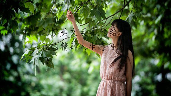 触摸美文灵魂,送给自己的精辟人生感悟的话语