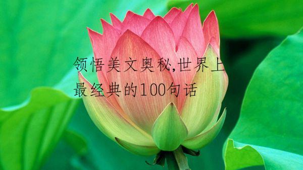 领悟美文奥秘,世界上最经典的100句话