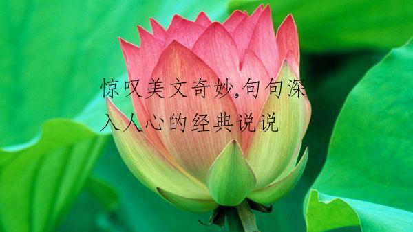 惊叹美文奇妙,句句深入人心的经典说说