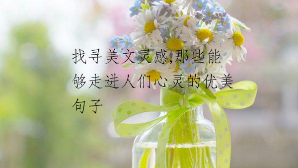 找寻美文灵感,那些能够走进人们心灵的优美句子