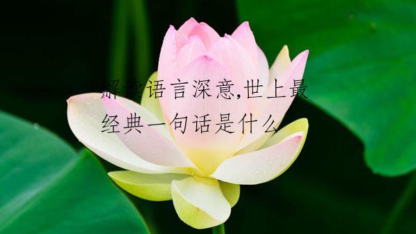 解读语言深意,世上最经典一句话是什么